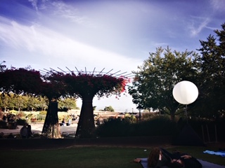 HipstamaticPhoto-580543467.895664