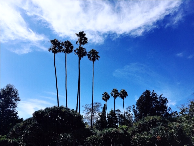 HipstamaticPhoto-587868952.097346